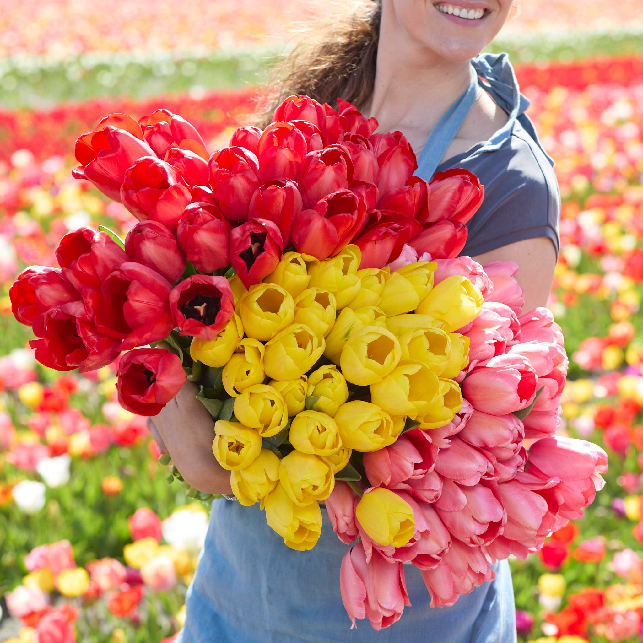 New Seeds, Bulbs & Supplies for 2026